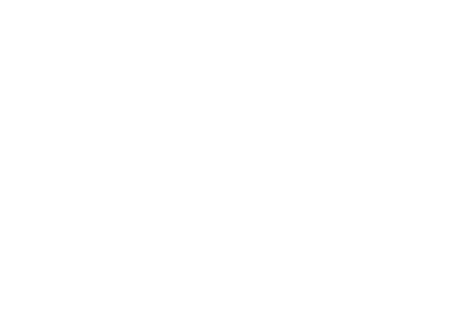 WordPress Development